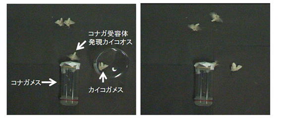 図2.tif