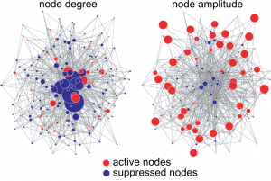 network-en-full A complex network in which 75% of the nodes have been suppressed. (Left) Circle size indicates node degree. Hub nodes in the center are essential to maintaining network integrity. (Right) Circle size indicates oscillation amplitude. Peripheral low-degree nodes are highly important in maintaining network activity. Figures prepared using Pajek. c Gouhei Tanaka.