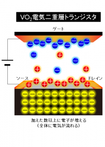 強相関酸化物VO2を用いた電気二重層トランジスタの模式図 © 中野匡規