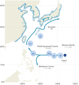 調査海域の移動と年代 調査海域の移動と年代