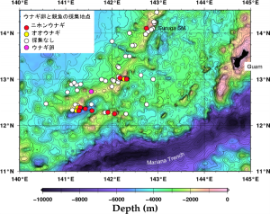 海底地形図と採取地点 海底地形図と採取地点