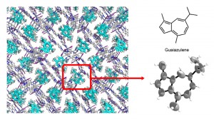 Figure 3: Orientation of a small molecule in the crystal lattice. Figure 3: Orientation of a small molecule in the crystal lattice.