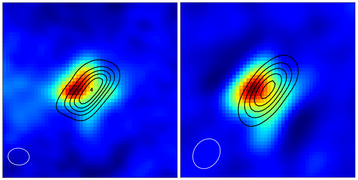 Two blue squares on which are patches of red on green. Black solid lines form concentric circles around these.