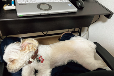 Working from home scene