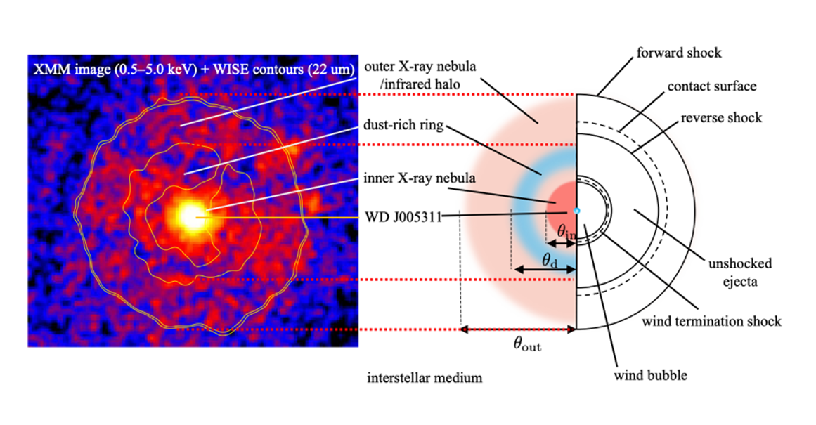 Image comparing a colourful x-ray of the supernova remnant on the left with an illustrated schematic on the right. 