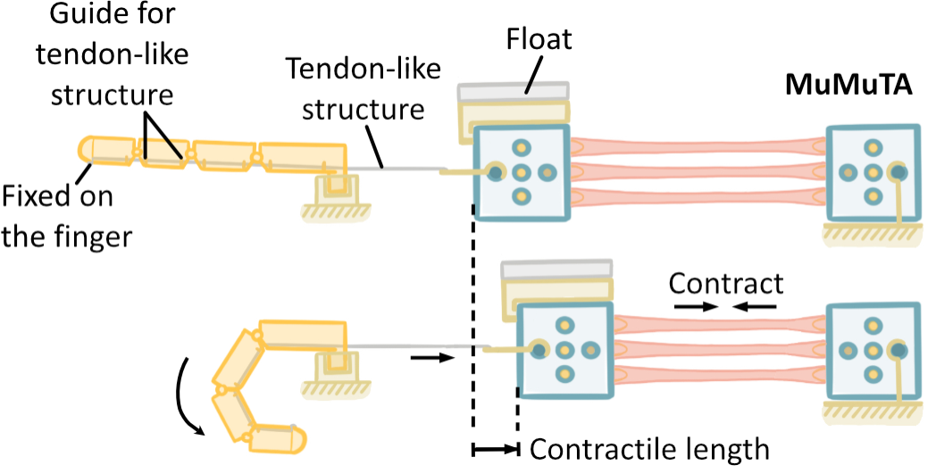 Illustration of biohybrid robot finger.