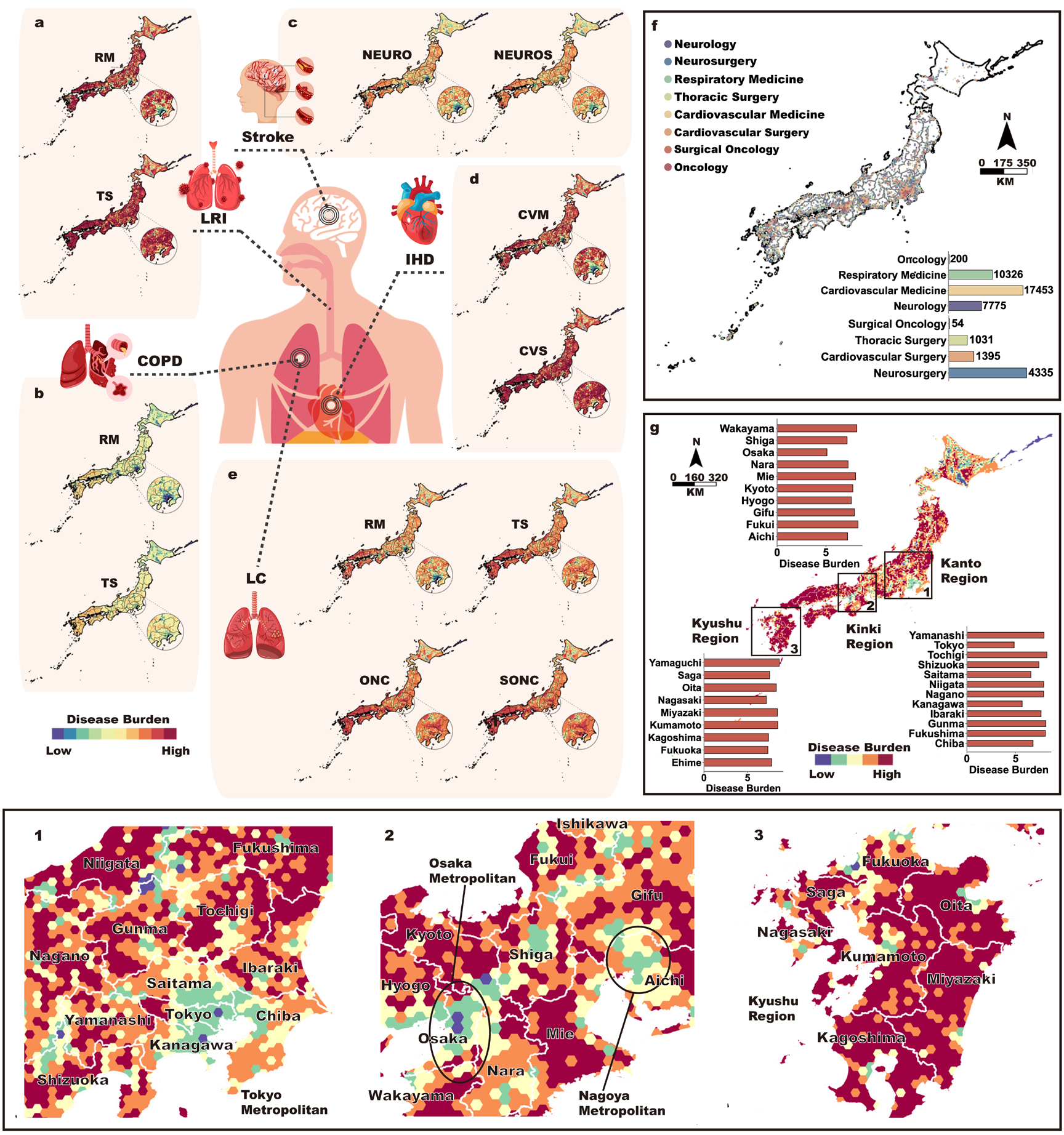 Graphic of the human body with red areas and charts surrounding it.